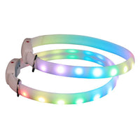 USB Rechargeable LED Dog Collar – Luminous Flashing Safety Necklace for Night Walking