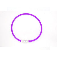 Fashion LED Dog Collar – Light Up Pet Safety Collar for Night Walks