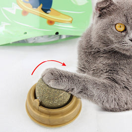 Catnip Ball Cat Treats – Rotating Dental Toy for Cats, Molar Teeth Cleaning & Stress Relief