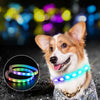USB Rechargeable LED Dog Collar – Luminous Flashing Safety Necklace for Night Walking