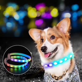 USB Rechargeable LED Dog Collar – Luminous Flashing Safety Necklace for Night Walking