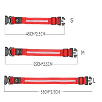 LED Pet Collar – Waterproof Light Up Dog & Cat Collar for Night Safety