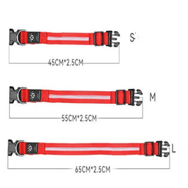 LED Pet Collar – Waterproof Light Up Dog & Cat Collar for Night Safety