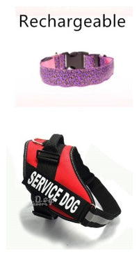 Adjustable LED Dog Collar – Safety Nylon Pet Collar with Leopard Print