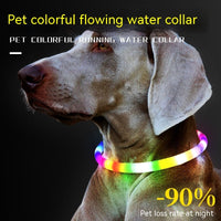 Fashion LED Dog Collar – Light Up Pet Safety Collar for Night Walks