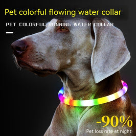 Fashion LED Dog Collar – Light Up Pet Safety Collar for Night Walks
