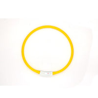 Fashion LED Dog Collar – Light Up Pet Safety Collar for Night Walks